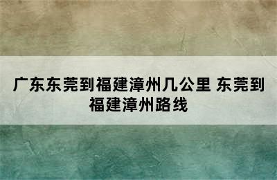 广东东莞到福建漳州几公里 东莞到福建漳州路线